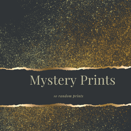 Mystery Screen Print Transfers / DTF