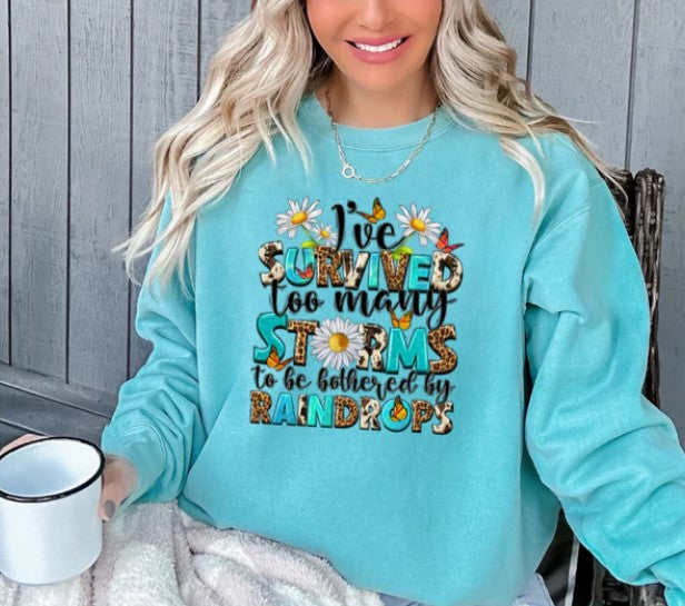 I've Survive Too Many Storms Sweater